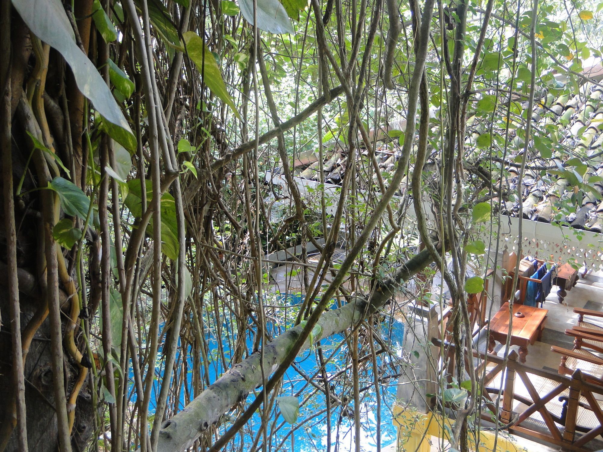 Hotel Thambapanni Retreat Unawatuna Esterno foto